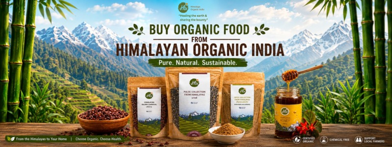 organic food - buy now
